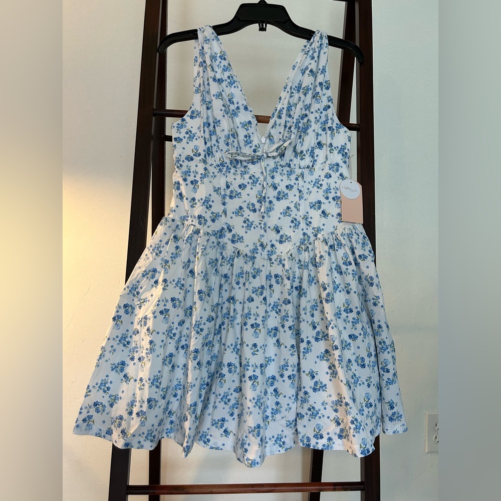 Floral Blue and White Dress